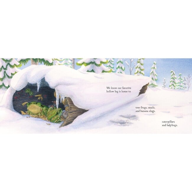 When Winter Comes - Books - 3