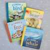 If I Were a Whale Board Book - Books - 5