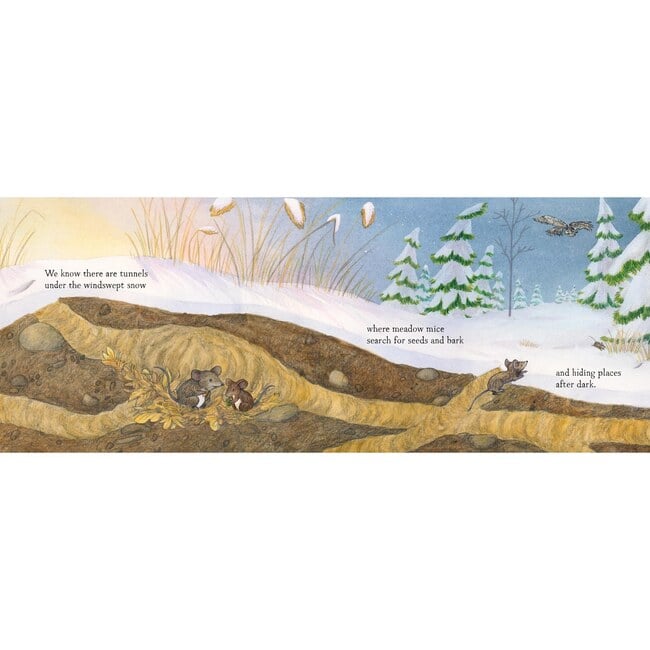 When Winter Comes - Books - 4