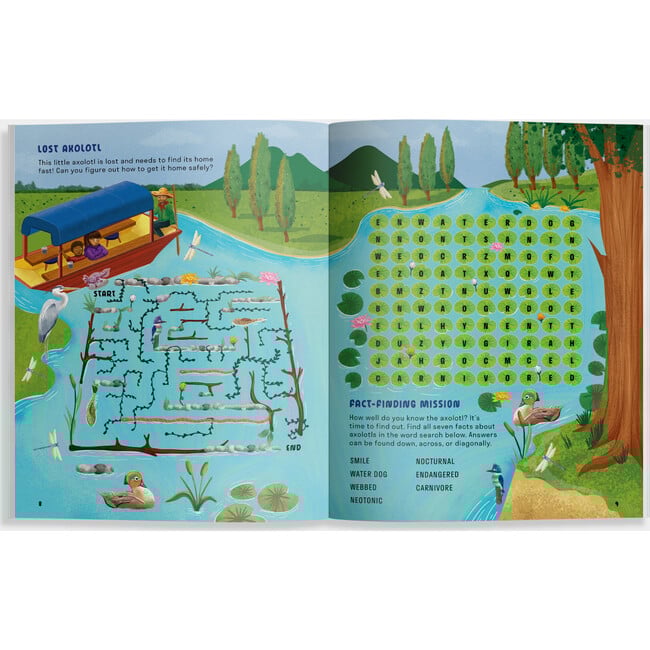 Amazing Axolotls - Books - 3