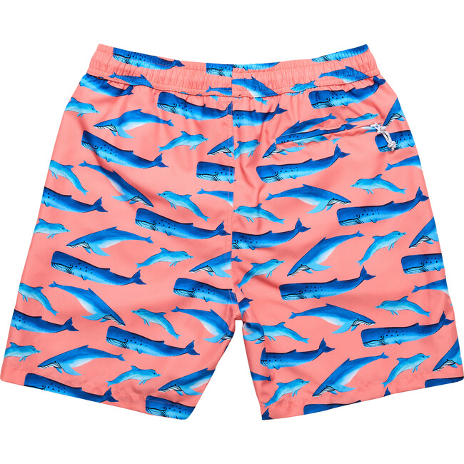Mens Whale Tail Swim Short - Swim Trunks - 3
