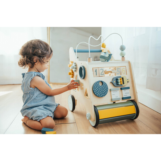 Busy Busy Baby Walker - Push & Pull - 9