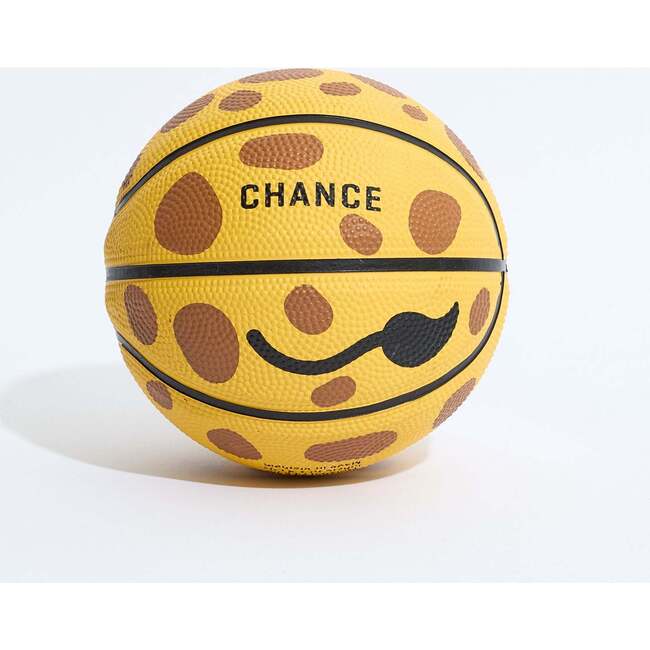 Geoff Mini Basketball (17")