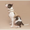 The Babbi Harness, Sand - Collars, Leashes & Harnesses - 7 - thumbnail