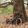 Zoom Lite, Black - Balance Bikes - 2
