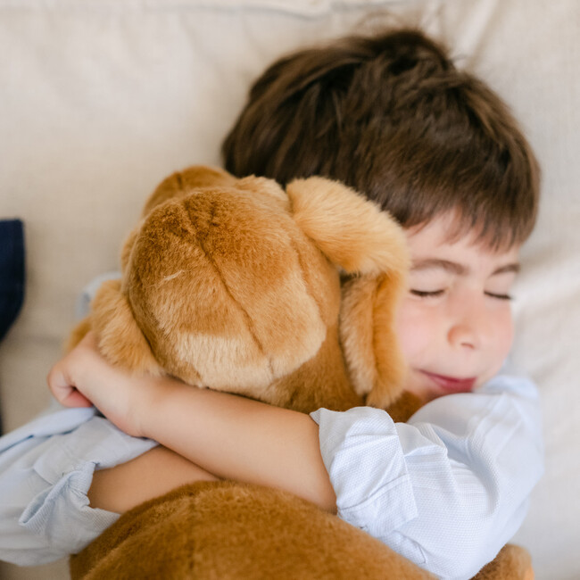 My Dog Theo - Large 50cm