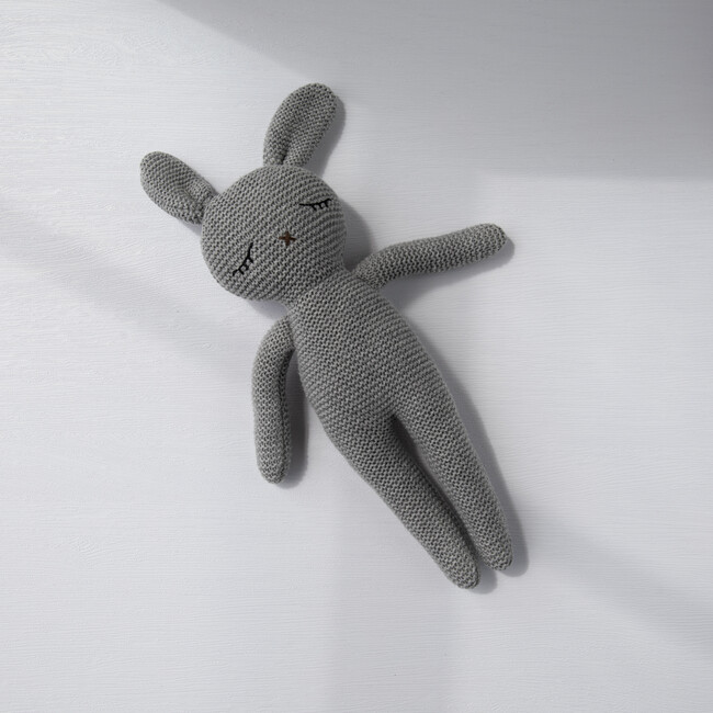 Bunny, Grey