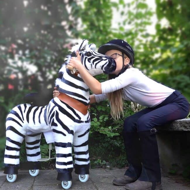 Zebra 2021, Medium