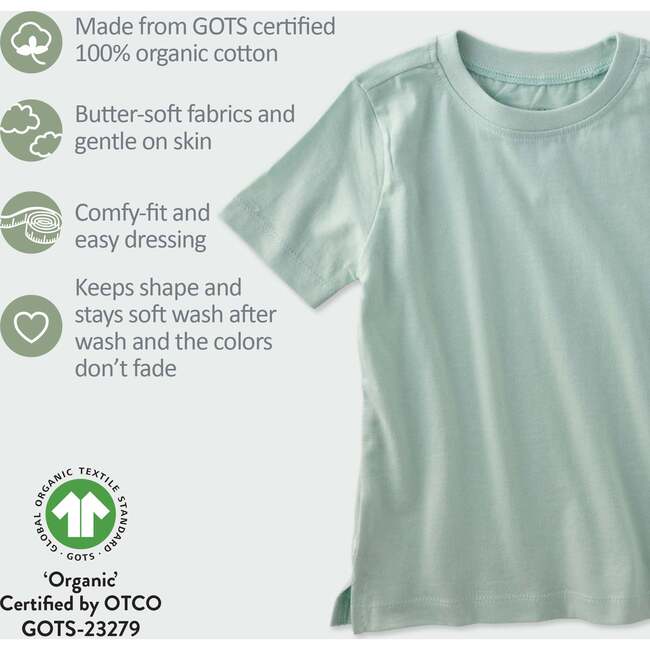 TAYLOR 5-Pack Short Sleeve T-Shirts, Seafoam - T-Shirts - 5