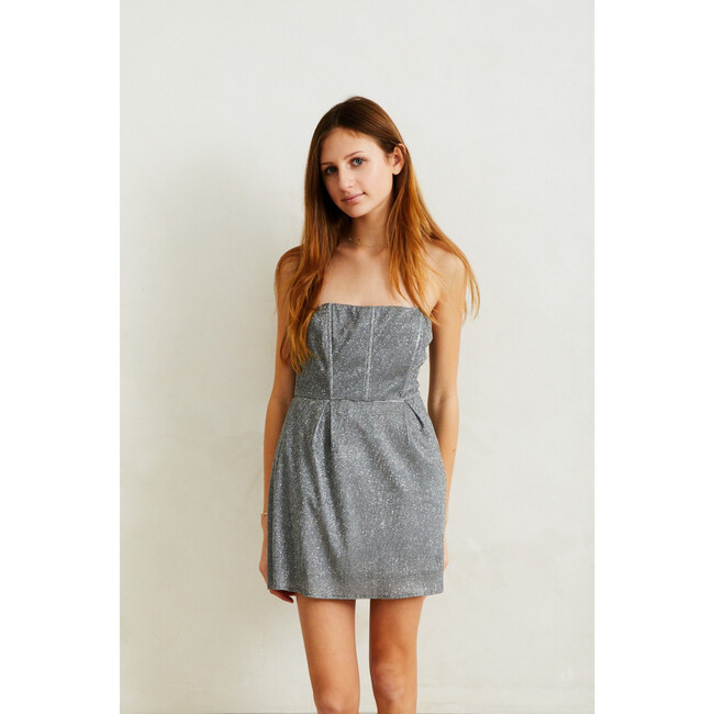 Roxi Silver Corset dress