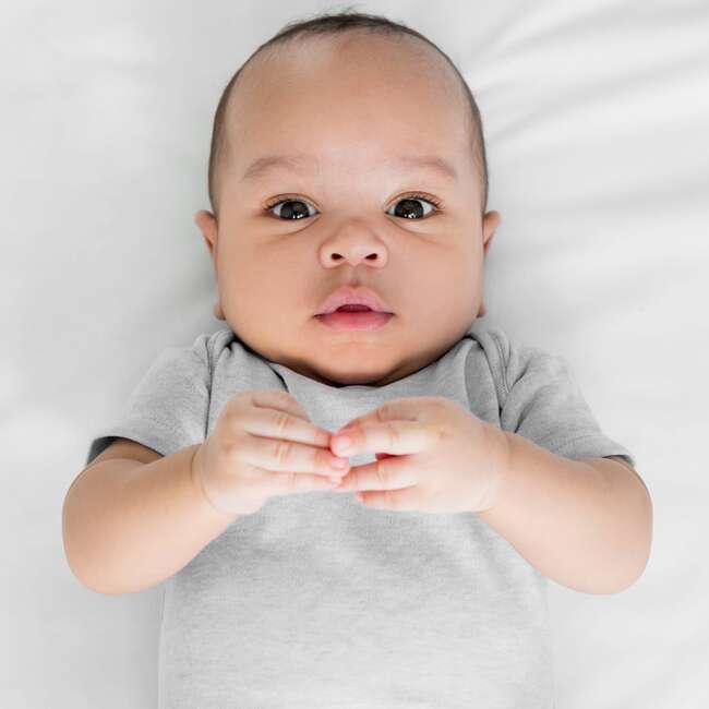 AVERY 5-Pack Short Sleeve Bodysuits, Stone