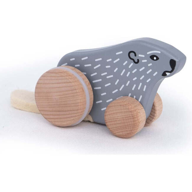 Zygfryd the Groundhog