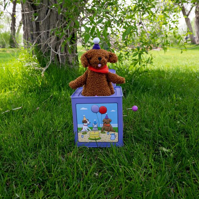Birthday Puppy Jack in the Box Toy - Games - 4