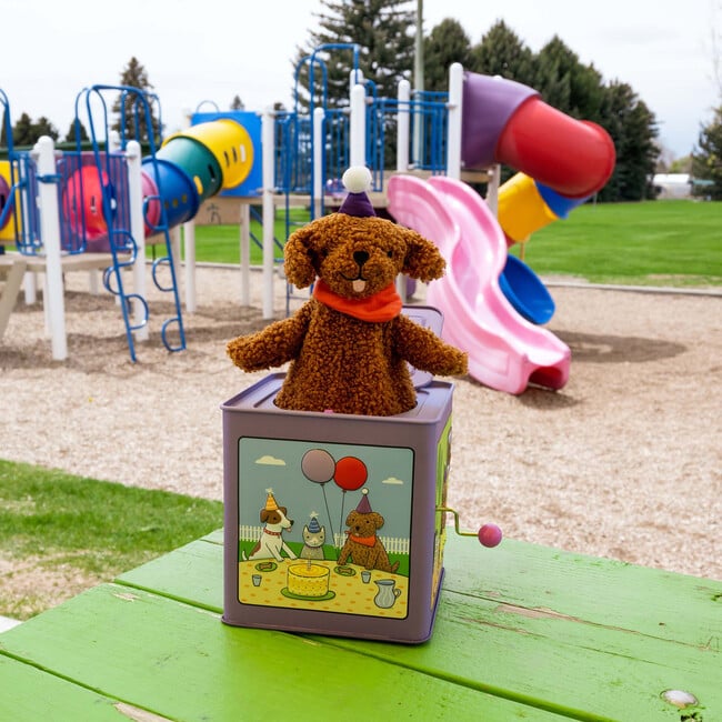 Birthday Puppy Jack in the Box Toy - Games - 5