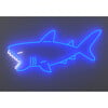 Shark LED Neon Sign, Blue - Lighting - 1 - thumbnail