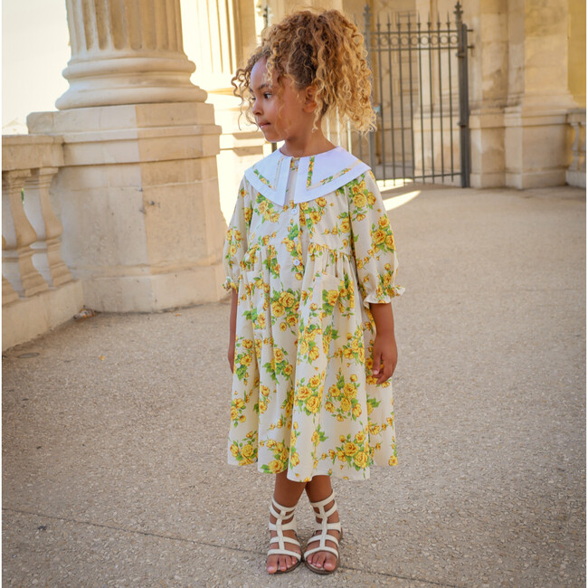 The Garden Dress, Heirloom Rose