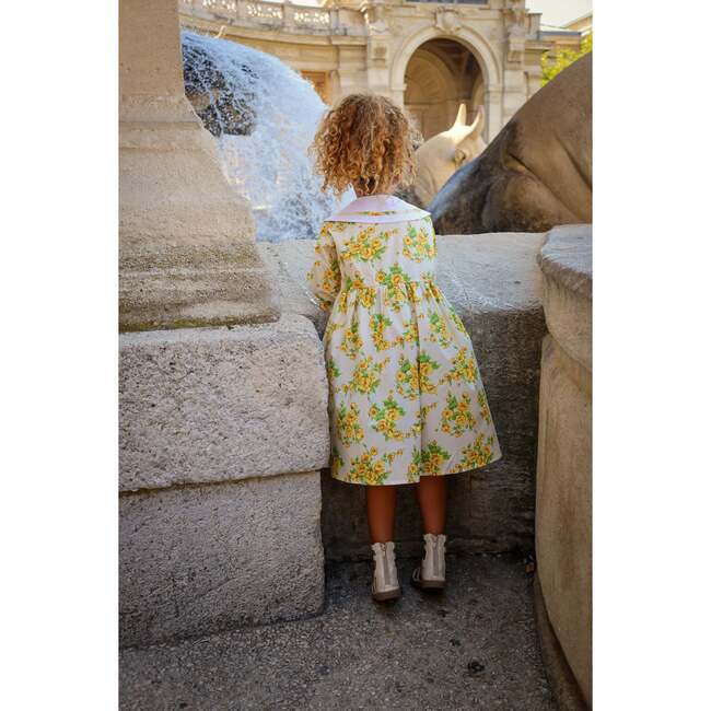 The Garden Dress, Heirloom Rose - Dresses - 6