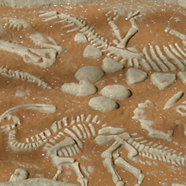 Digasaurus Sandbox - Dinosaur Excavation Activity