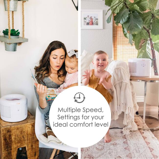 Crane Air Purifier with True HEPA Filter – High-Efficiency Air Filtration for Allergies, Dust, Smoke & Pet Odors – Ultra-Quiet & Energy Efficient, EE-7002AIR - Personal Care - 4