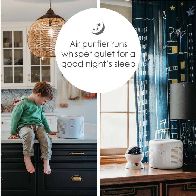 Crane Air Purifier with True HEPA Filter – High-Efficiency Air Filtration for Allergies, Dust, Smoke & Pet Odors – Ultra-Quiet & Energy Efficient, EE-7002AIR - Personal Care - 5