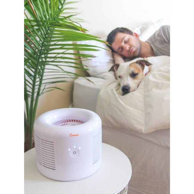 Crane Air Purifier with True HEPA Filter – High-Efficiency Air Filtration for Allergies, Dust, Smoke & Pet Odors – Ultra-Quiet & Energy Efficient, EE-7002AIR - Personal Care - 7