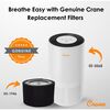 Crane EE-5068 Air Purifier Replacement HEPA Filter - Personal Care - 2