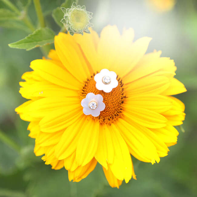 Garden Stud - Earrings - 3