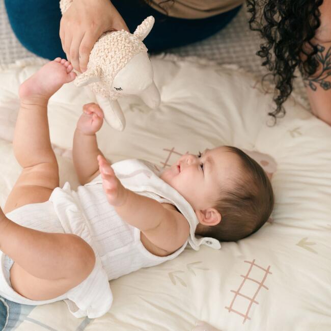 Leslie Lamb Plush Stuffed Animal Toy - Plush - 5