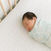 Cove Fitted Crib Sheet (Hashtag) - Crib Sheets - 4