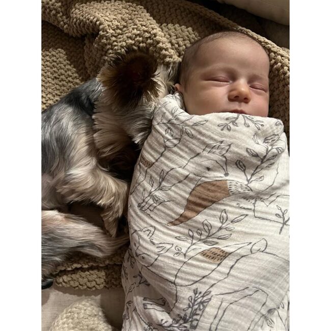 Ezra 2-pc. Woodland Animal Swaddle Wraps - Swaddles - 7