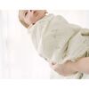 Avery Organic Cotton Bunny Single Swaddle - Swaddles - 7