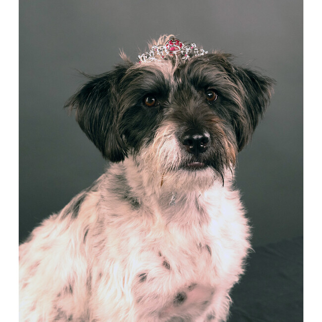 DISNEY MULTI-PRINCESS METAL TIARA