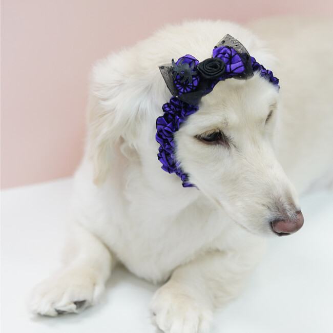 SPIDER WEB ROSY HEADBAND