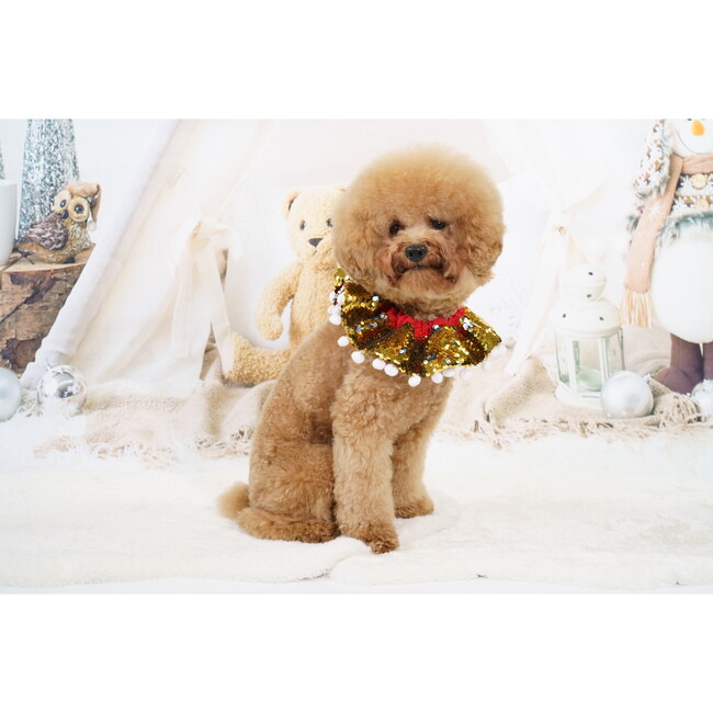 Golden & Silver Sequin Collar W/ White Pom Pom