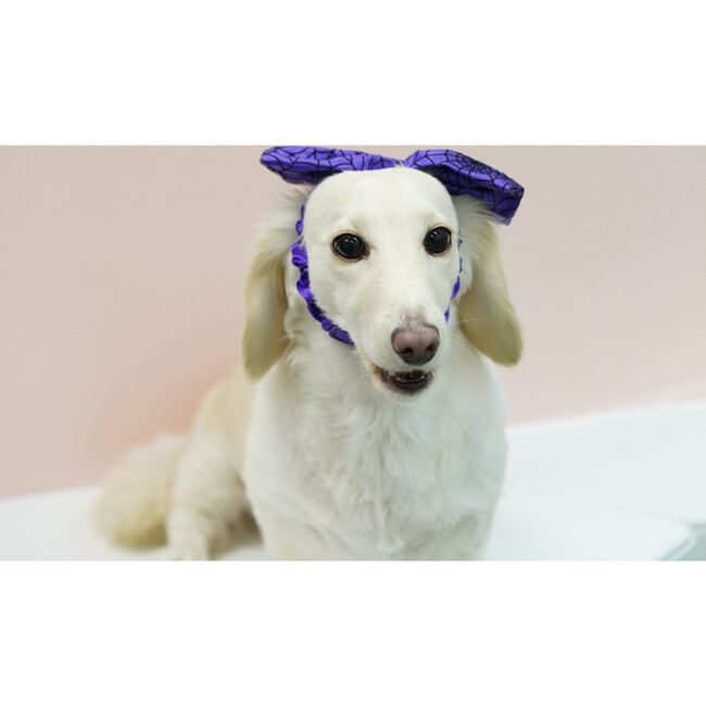 PURPLE SPIDER WEB HEADBAND