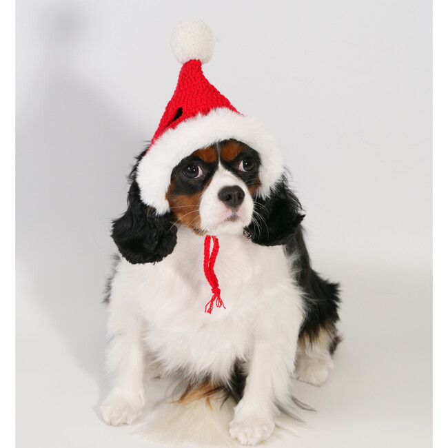 SWEET CHRISTMAS HOOD (RED)