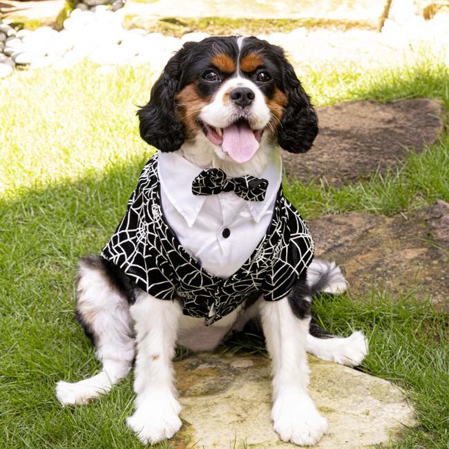 HALLOWEEN GLOWING SPIDER-WEB TAILCOAT