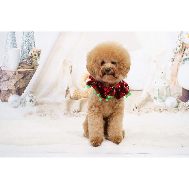 Red & Green Sequin Collar W/ Green Pom Pom