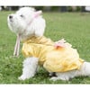 Disney Belle Dress - Pet Costumes - 2 - thumbnail