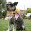 Disney Belle Collar - Pet Costumes - 2