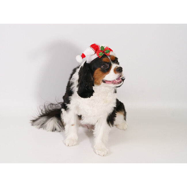 CHRISTMAS HAT - RED RIBBON W/ HOLLY LEAVES