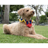 Disney Snow White Collar - Pet Costumes - 2 - thumbnail