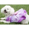 Disney Rapunzel Dress - Pet Costumes - 2 - thumbnail