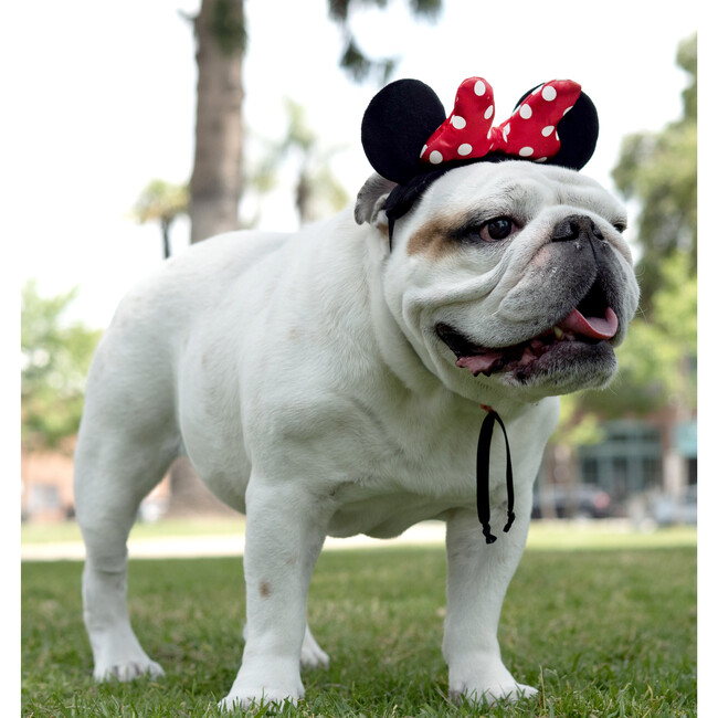 Disney Minnie Mouse Ears Head Accessory