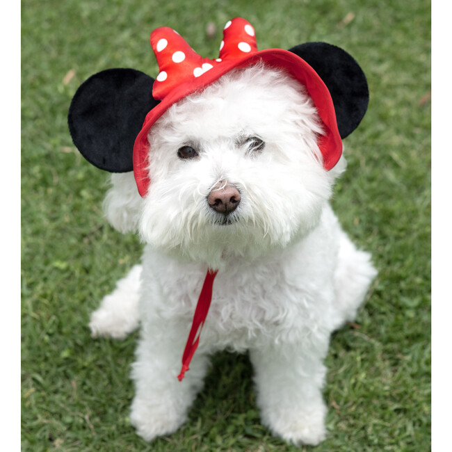 Disney Minnie Mouse Ears Uv Hat