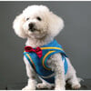 Disney Donald Duck Harness - Pet Costumes - 2 - thumbnail
