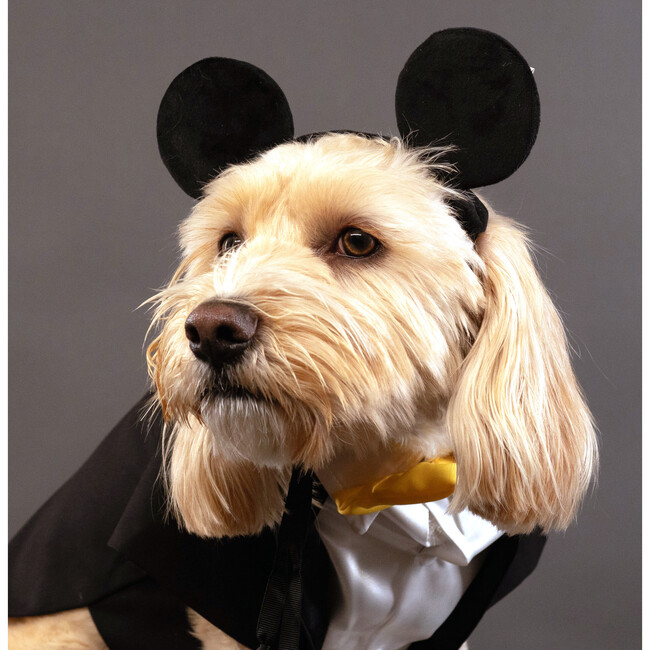 Disney Mickey Mouse Ears Head Accessory