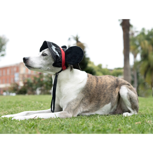 Disney Mickey Mouse Ears Uv Hat