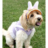 Disney Daisy Duck Uv Hat - Pet Costumes - 2 - thumbnail