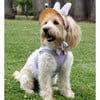 Disney Daisy Duck Harness - Pet Costumes - 2 - thumbnail